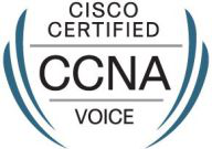 Cisco Certified Network Associate Voice